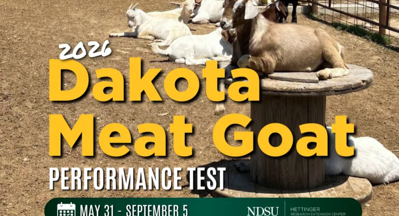 邦楽 GOATBED the superlative degree TSDGB2026 Dakota Goat Test | NDSU Agriculture